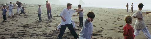 Danville Karate International