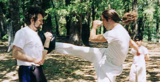 Danville Karate International